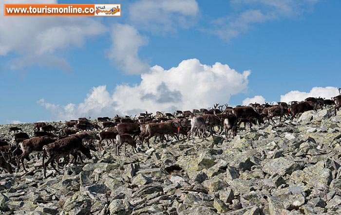 زیباترین پارک های ملی اروپا