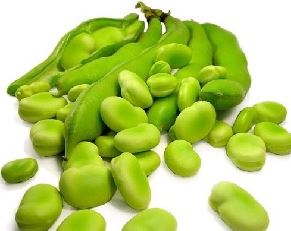 قیمت باقلا سبزپاک کرده در میادین میوه و تره بار چقدر است؟
