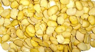 قیمت حبوبات غیر شرکتی در میادین میوه وتره بار