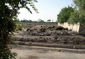آلودگی ناشی از دپوی زباله‌ها در روستای «ده‌خیر» + تصاویر