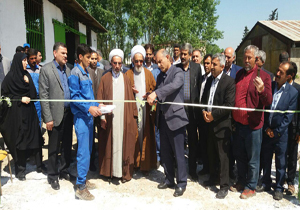 آغاز فعالیت بانک ژن ذخایر ژنتیک دامی شمال کشور در بابل