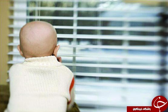 از مبارزه با آفت سن گندم تا افتتاح نمایشگاه دستاوردهای جوانان