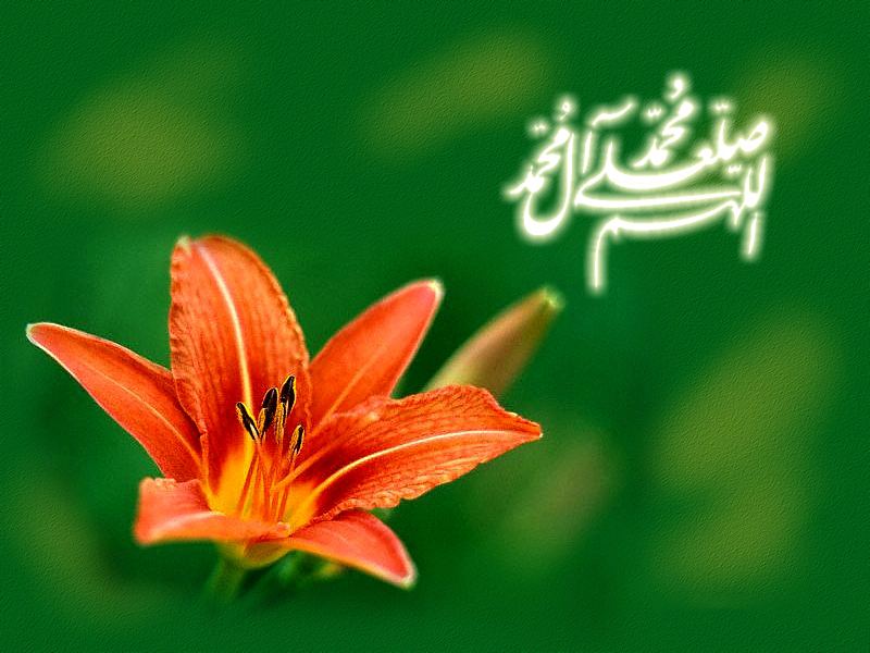 تصاویر پس زمینه زیبا به مناسبت مبعث پیامبر اسلام(ص)