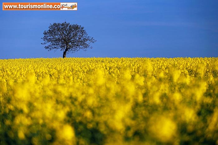 پربیننده ترین تصاویر خبری هفته گذشته