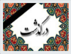 پیام تسلیت رئیس فدراسیون فوتبال به وزیر ورزش