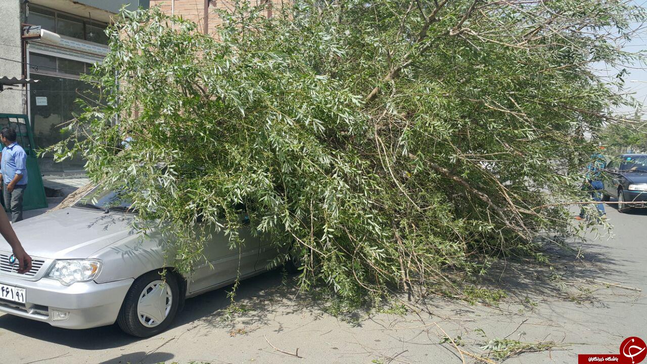 خسارات برجای مانده از تند باد در پارس&zwnj;آباد مغان + فیلم و تصاویر