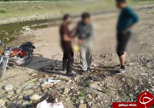 کشف و ضبط 574 قطعه ماهی +تصاویر کشف و ضبط 574 قطعه ماهی +تصاویر