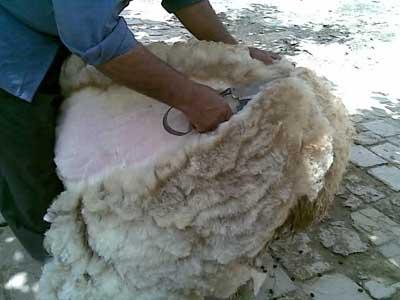 دستگیری سارق در حین سرقت در شهرستان بدره