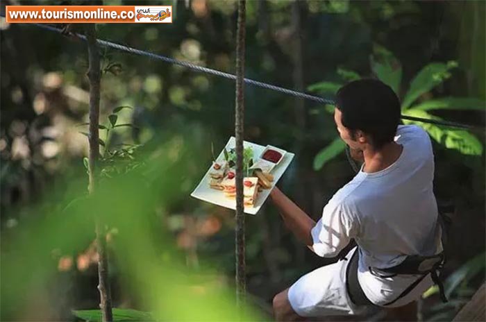 دنج ترین رستوران درختی، در تایلند +تصاویر