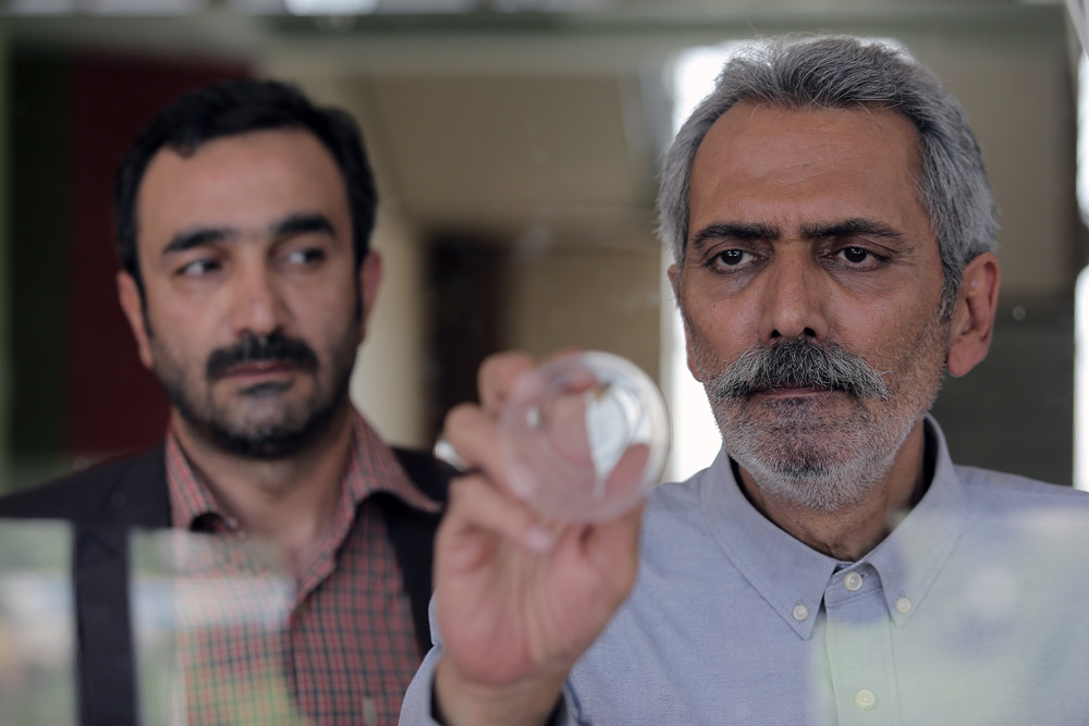 نگار عابدی و فرخ نعمتی هم «سرّ دلبران» پیوستند
