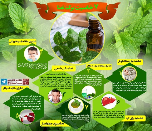نعنا، گیاهی قدرتمند با خواص درمانی فوق العاده + اینفوگرافی