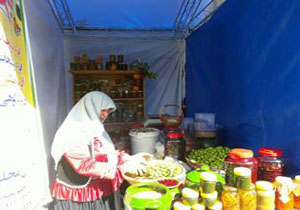 آغاز جشنواره ملی بهار نارنج در رامسر