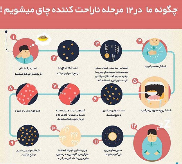 دلایل پنهان و مرموز چاقی که تابه&zwnj;حال نشنیده&zwnj;اید + اینفوگرافی