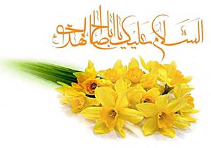 استان فارس در آستانه میلاد امام زمان (عج) غرق در نور و سرور