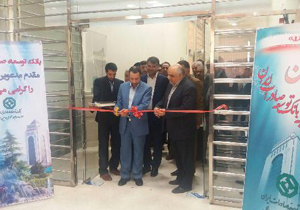 رشد 50 درصدی پرداخت تسهیلات بانک توسعه صادرات ایران