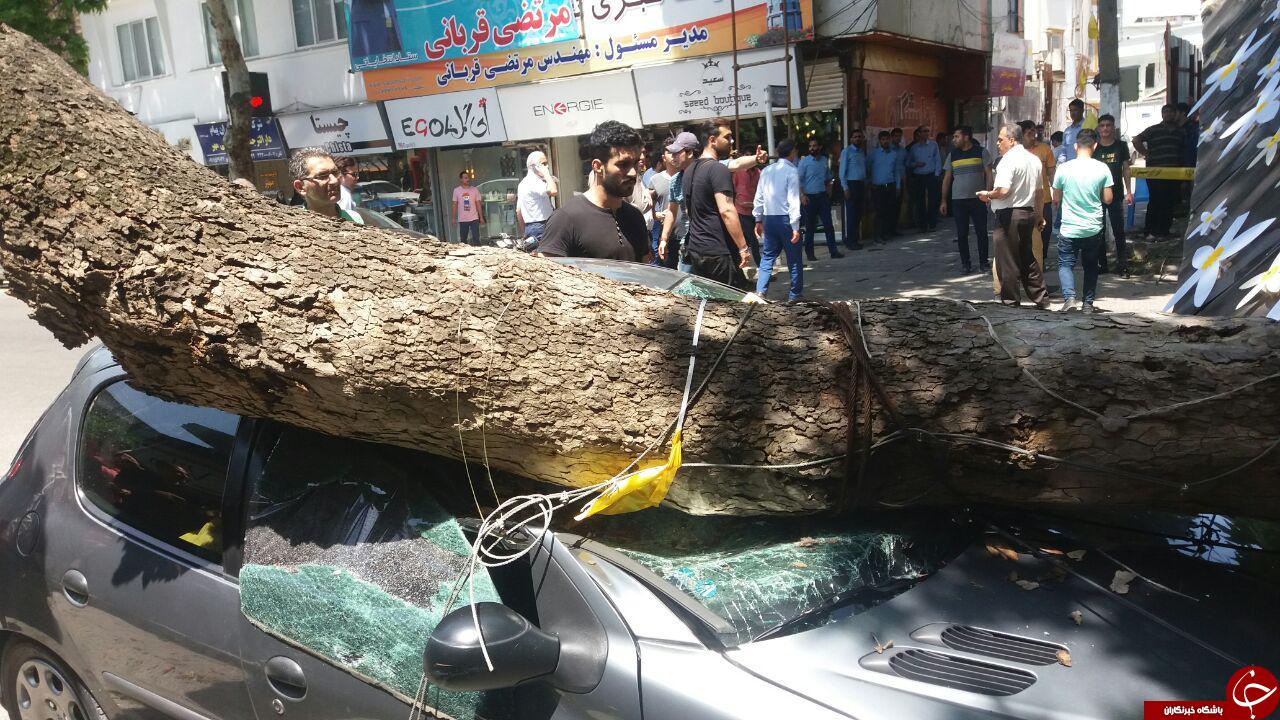 تندباد شدید ساری را درنوردید + تصاویر