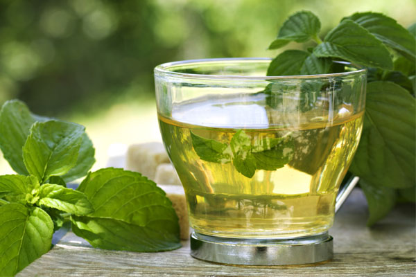 6 / چای سبز خور&zwnj;ها بخوانند + اینفوگرافی