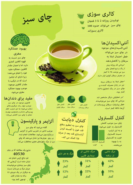 6 / چای سبز خور&zwnj;ها بخوانند + اینفوگرافی
