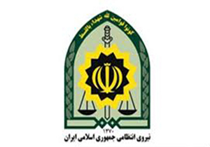 توقیف محموله گاو بدون مجوز/اقرار سارق به 45 فقره سرقت