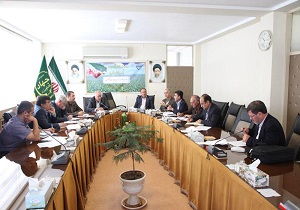 تشکیل زنجیره توسعه و صادرات کشمش از اولویت‌های مهم اقتصاد مقاومتی است