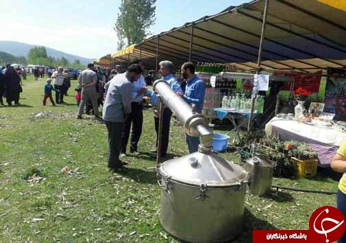حمايت از كشت گل&zwnj;محمدی در راستای ايجاد اشتغال برای جوانان