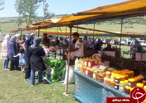 حمايت از كشت گل&zwnj;محمدی در راستای ايجاد اشتغال برای جوانان