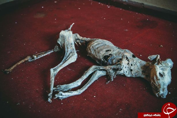 تصاویر جالبی از مسکوی کوچک در قلب آلمان
