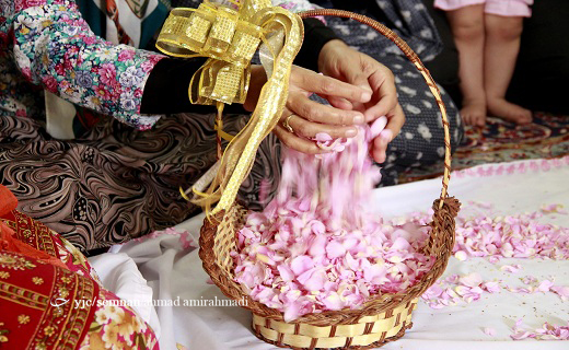 جشنواره رایحه محمدی بر تن گل های زندگی برگزار شد