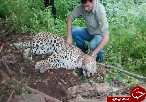 نگاهی گذرا به مهمترین رویدادهای 22 اردیبهشت در مازندران