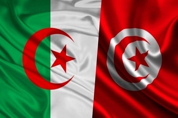 پنج تروریست در الجزایر کشته شدند
