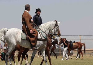 ثبت جهانی نژاد اسب کرد
