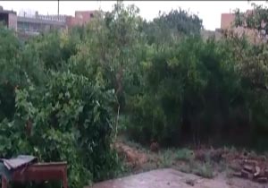 بارش رحمت الهی در عزدآباد + فیلم