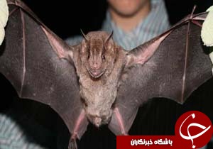 نگاهی گذرا به مهمترین رویدادهای 23 اردیبهشت در مازندران