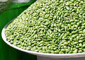 خواص چاغاله بادام برای زنان باردار
