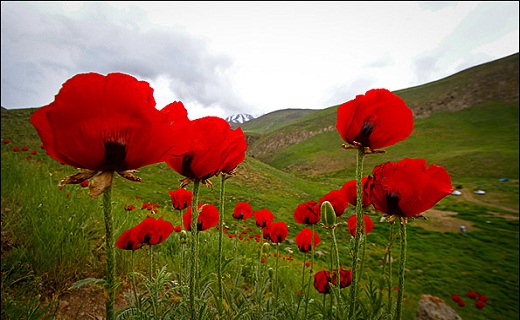 نگاهی به پر بیننده ترین اخبار روز گذشته در سمنان