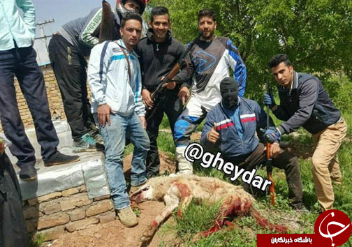 خون گرگ مادر، گناه چه کسی را شست؟
