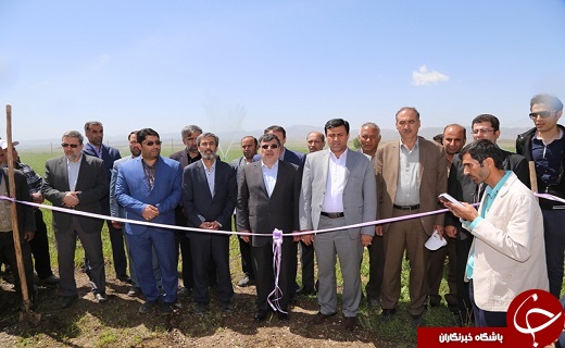 افتتاح و کلنگ زنی چند طرح کشاورزی در آوج