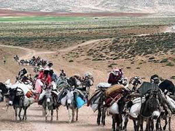 استقرار یک‌هزار خانوار عشایری در دره‌شهر