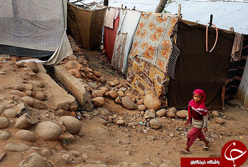 تصاویر روز: از کشف مقبره&zwnj;ای جدید در مصر تا عکس یادگاری با پل طلایی جاده ابریشم