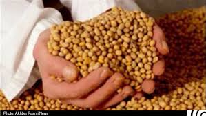 صادرات بیش از ۳.۵ هزار تن خوراک طیور از خراسان&zwnj;جنوبی به افغانستان