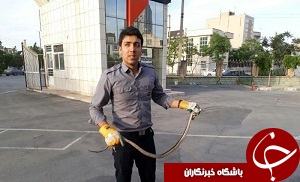 صیدمار در خودروی سواری
