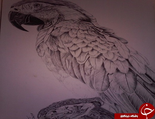 برپایی نمایشگاه تصویر سازی و نقاشی در نگارخانه ی حوزه هنری+تصویر