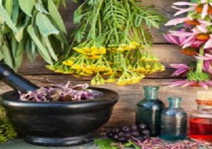 با این گیاهان به طور طبیعی کلیه‌هایتان را تقویت کنید