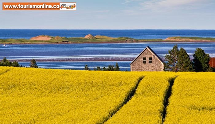 زیبایی هایی شگفت انگیز، در سرزمین 