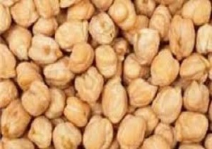 کشت نخود مکانیزه درشهرستان سقز