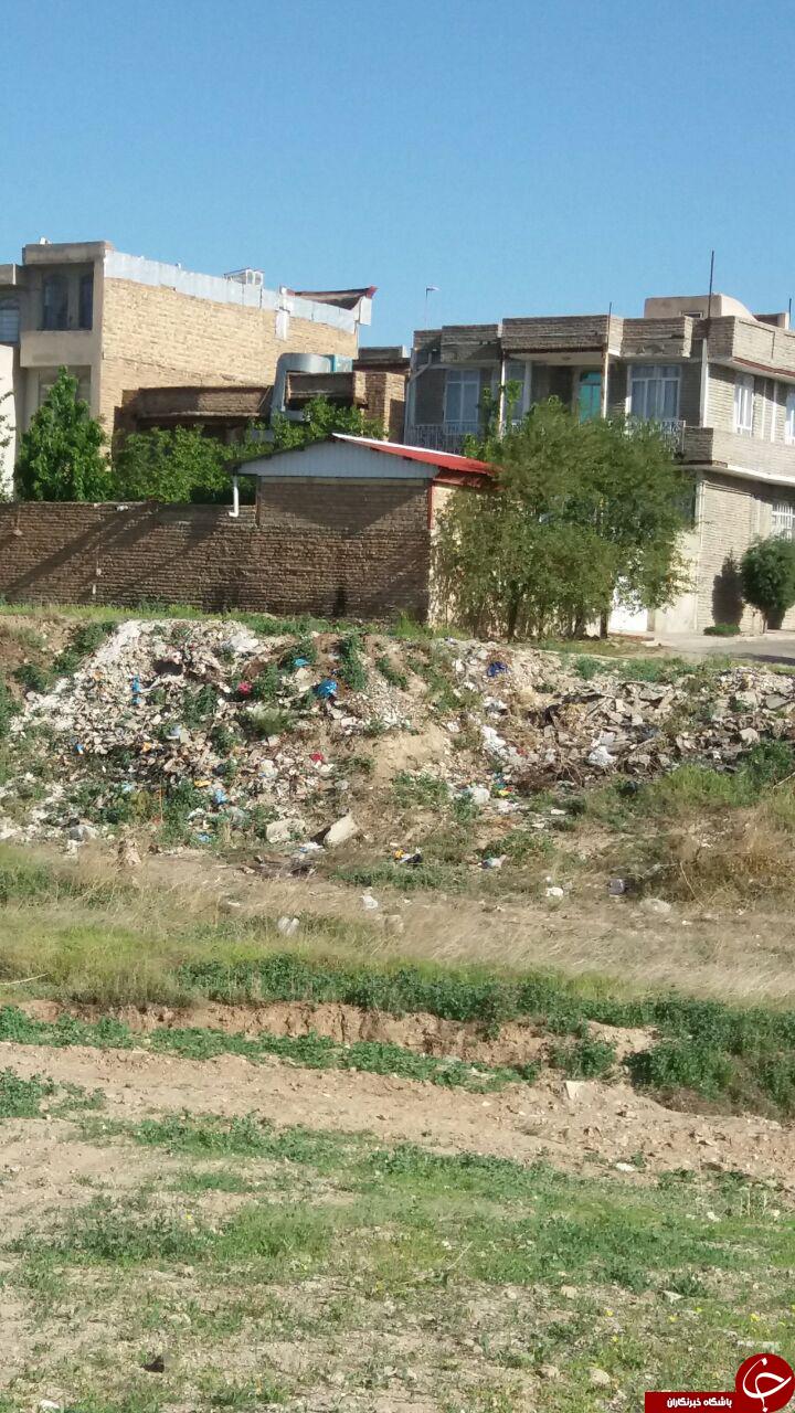 دپوی زباله در منطقه مسکونی + تصاویر