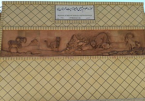 موزه علوم طبیعی و حیات وحش میبد در آستانه بهره برداری