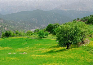 پیش بینی آسمان صاف تا کمی ابری و وزش باد؛ ۱۳۹۶/۰۲/۲۵
