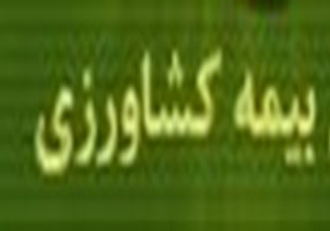 تمدید مدت زمان بیمه مرکبات