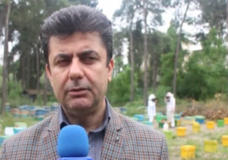 کارگاه آموزشی تولید ملکه در گلستان